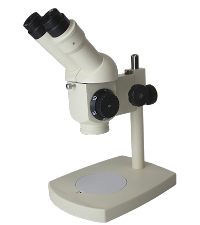 双目体视显微镜 XTT